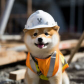 Ｎさん